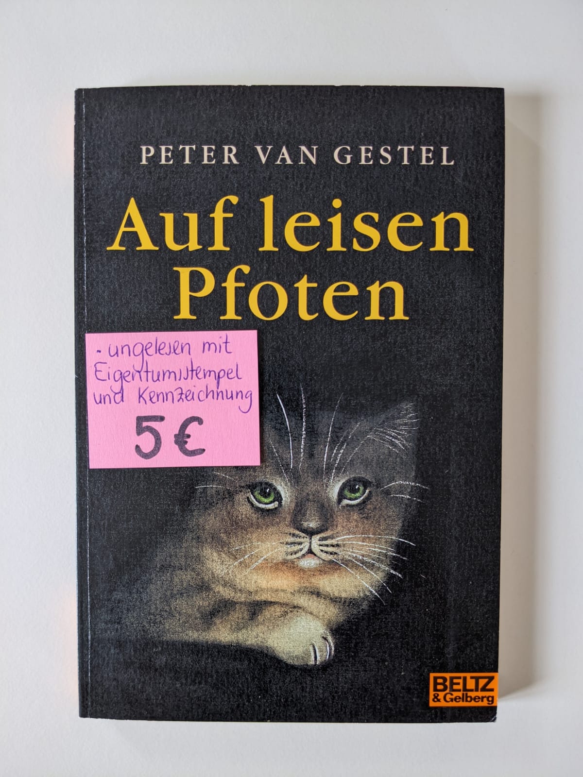 Auf leisen Pfoten