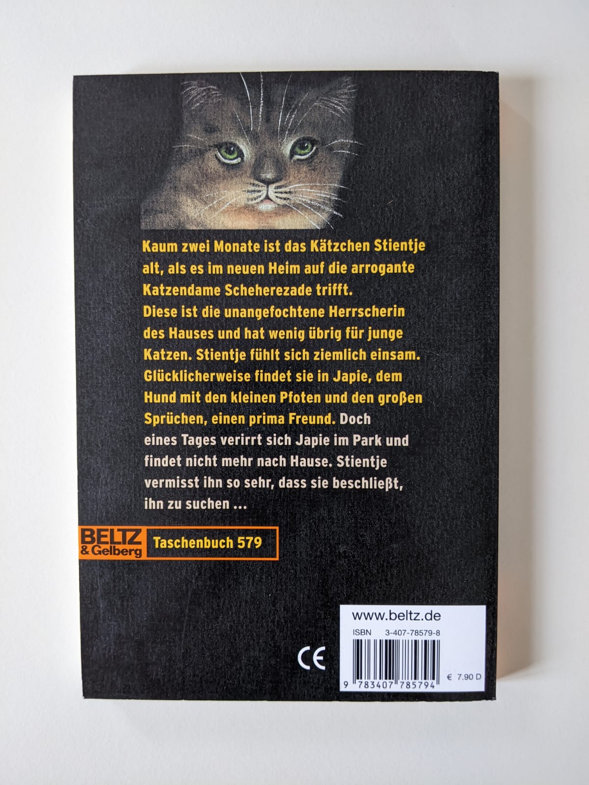 Auf leisen Pfoten
