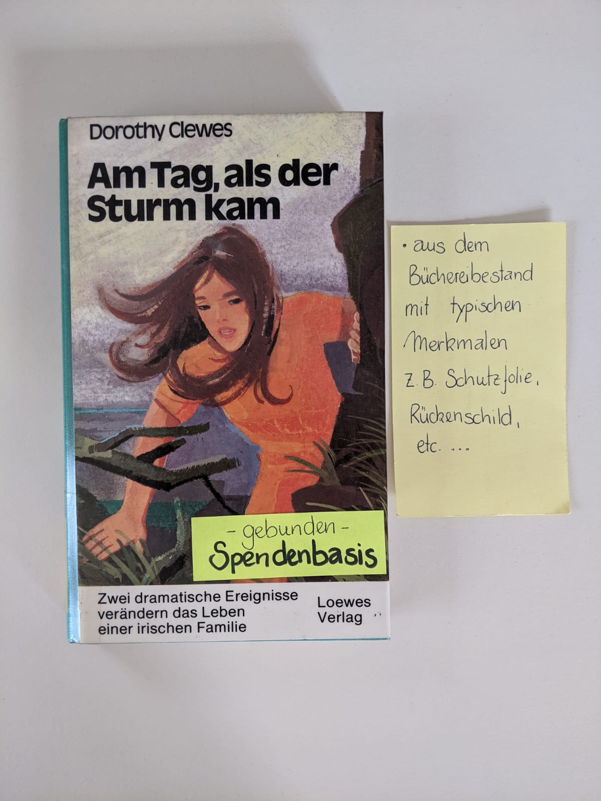 Am Tag, als der Sturm kam - Zwei dramatische Ereignisse verändern das Leben einer irischen Familie